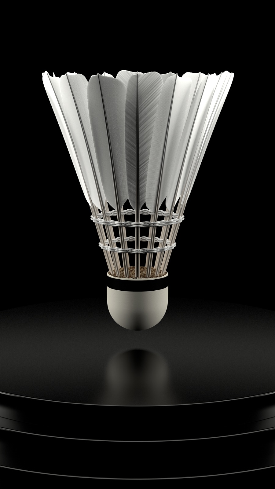 舍夫勒的连 舍夫勒的连