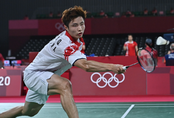 抓鸟成功反 抓鸟成功反