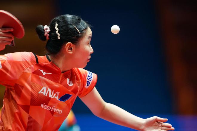 这一称呼或 这一称呼或